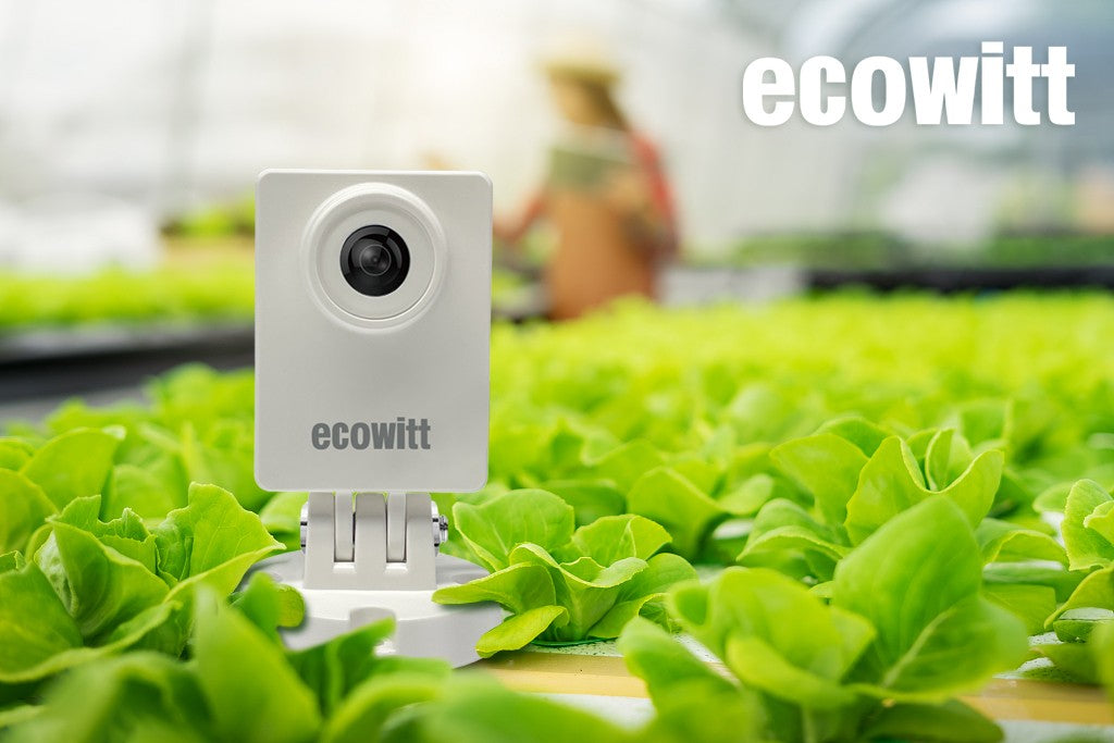 Wittcam - ecowitt (7608995610786)